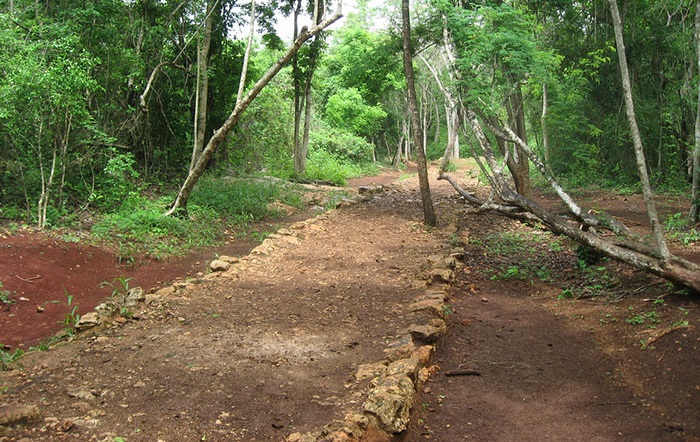 Sacbe_the white road chichen itza