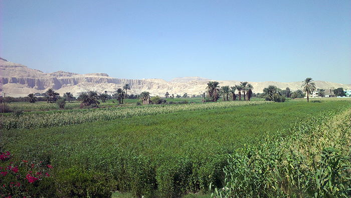 Valley of Nile