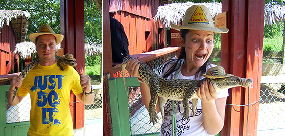 Crocodile farm Cuba
