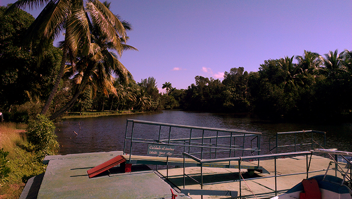 Crocodile farm Cuba 1