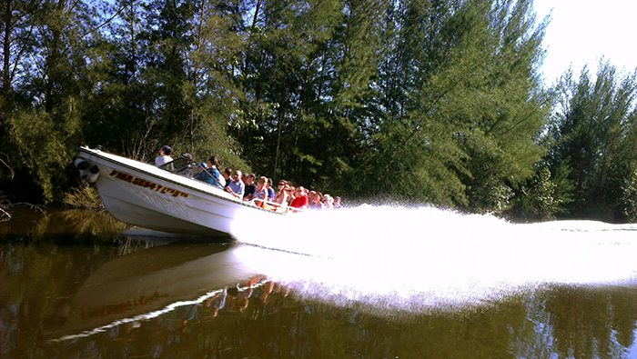 Crocodile farm Cuba 2