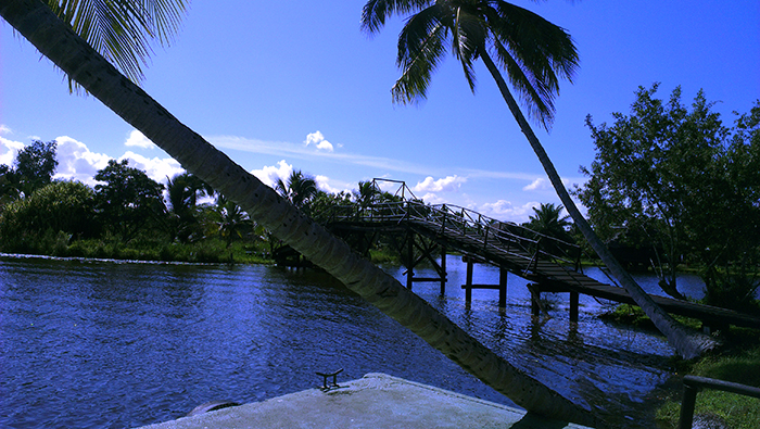 Crocodile farm Cuba 4