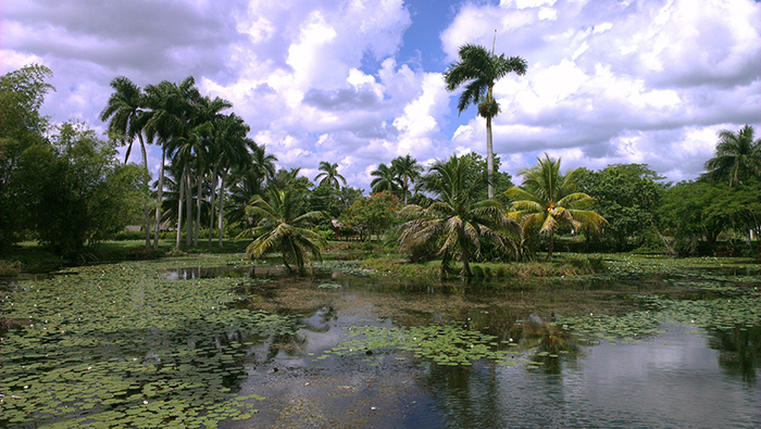 Crocodile farm Cuba 5