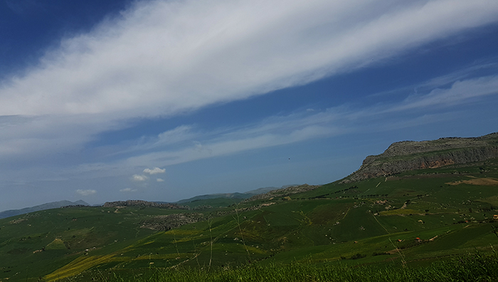 On the road to Corleone3