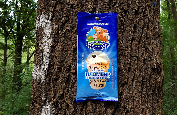 Pateka na zdraveto Bankia 5