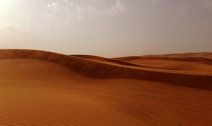 Desert Dubai 1