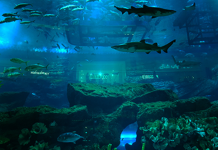 Dubai Mall Aquarium