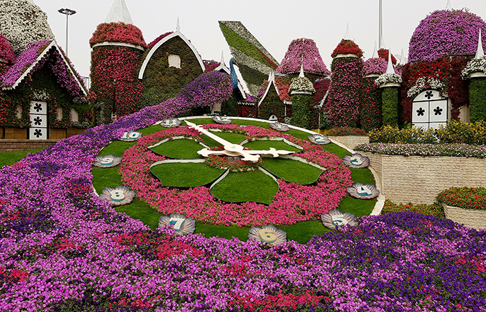 Dubai Miracle Garden_11
